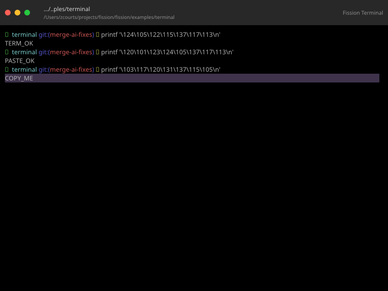 Fission terminal interface with navigation and command output
